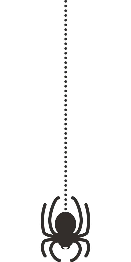 spider control image divider